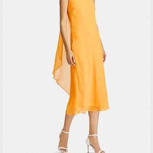 Meet your Posher, Rosy